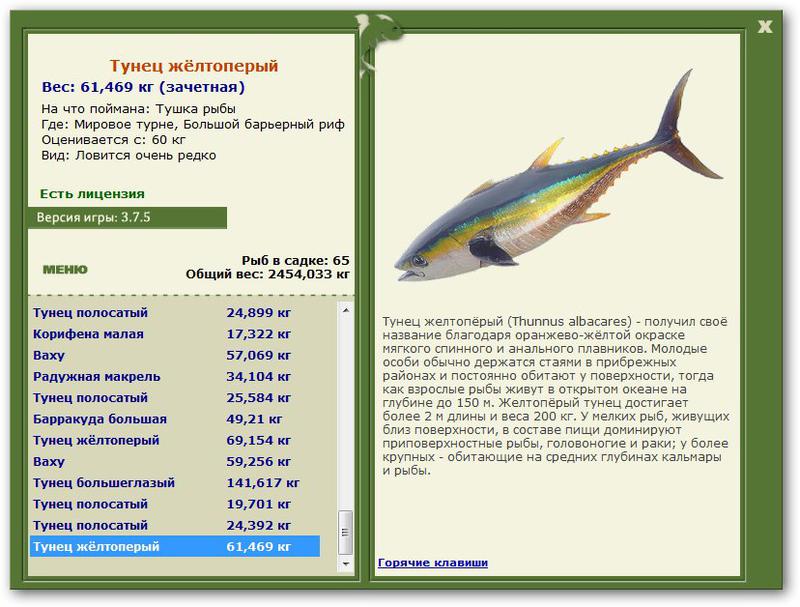 Размеры рыбы тунец и масса фото
