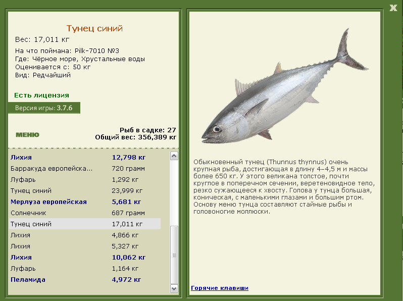 Тунец вес. Семейство тунцовых рыб список. Средний вес тунца. Тунец Размеры. Какие отношения складываются между тунцом и китом