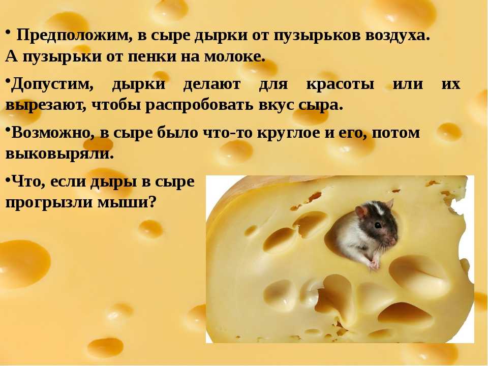 Почему сыр не получился. Почему в сыре дырки. Почему СВР С дырками. Веселые истории про сыр. Сыр с дырочками.