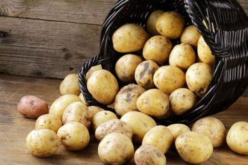 Почему разваривается картошка. Почему при варке картофель рассыпается?