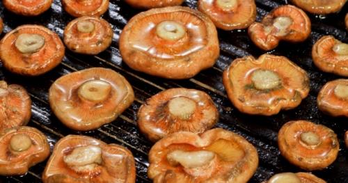 Как жарить рыжики. Жареные рыжики: пошаговый рецепт с фото для легкого приготовления