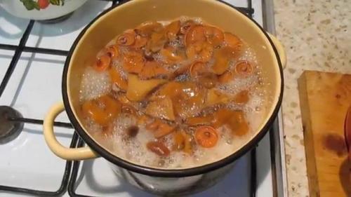 Рыжики, как готовить соленые. Как правильно засолить рыжики: горячая и холодная засолка