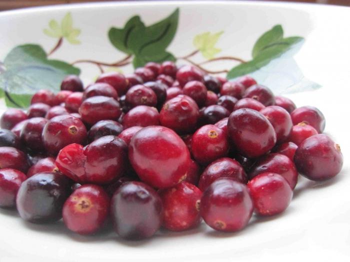 кисель из клюквы рецепт