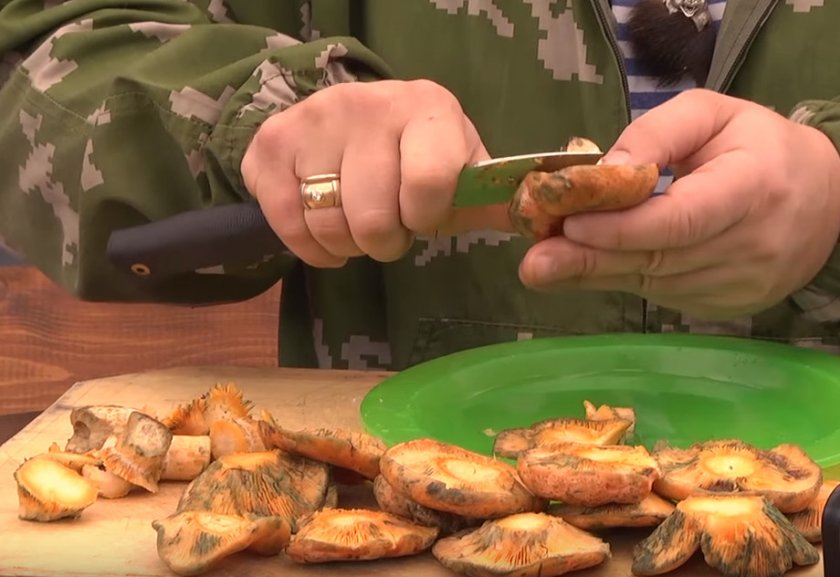 Жаркое с рыжиками