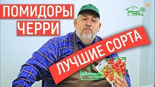 Помидоры Черри. Лучшие сорта и их особенности Помидоры Черри. Лучшие сорта и их особенности