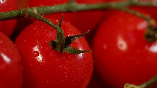 Помидоры черри: гмо или продукт селекции? Помидоры черри: гмо или продукт селекции?