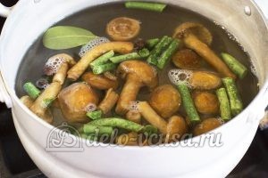Макароны с овощами и грибами: Варим опята и фасоль