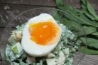 Салат из щавеля с яйцом