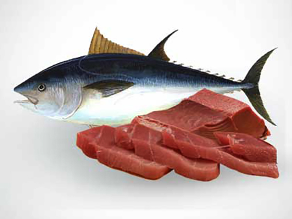 Рыба тунец