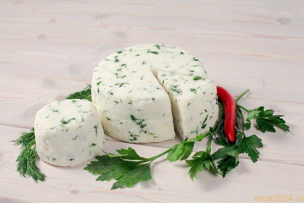 Как делать из прокисшего молока сыр