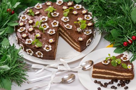 Фото рецепта Шоколадно-кофейный торт «Капучино»