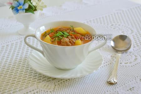 Фото рецепта Густой суп из свинины с фенхелем