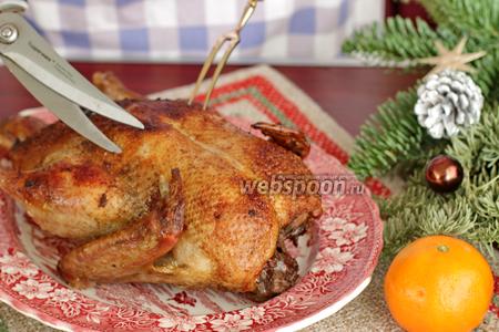 Фото рецепта Рождественская утка с апельсинами и черносливом