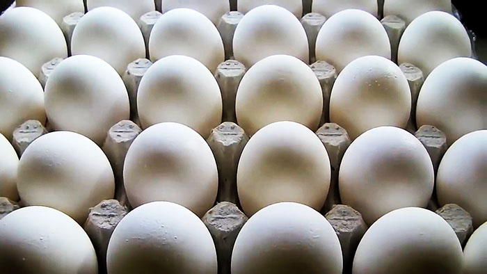Как сварить яйца чтобы они быстро и легко чистились