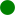 Disc Plain green dark.svg