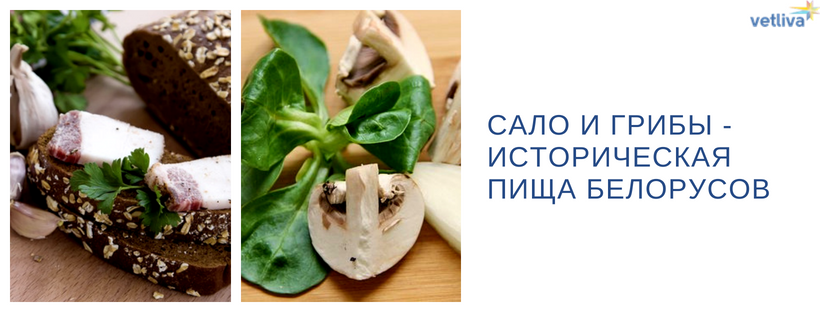 Cuisine_mushrooms.png