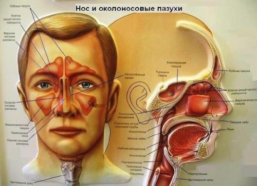 5 Рецептов диетических гарниров.